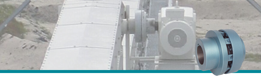 Flexible claw coupling ELKU, ELKU- N