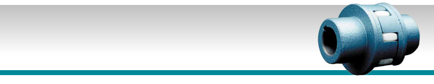 Flexible jaw coupling EZK